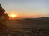 Blick aus dem Küchenfenster
