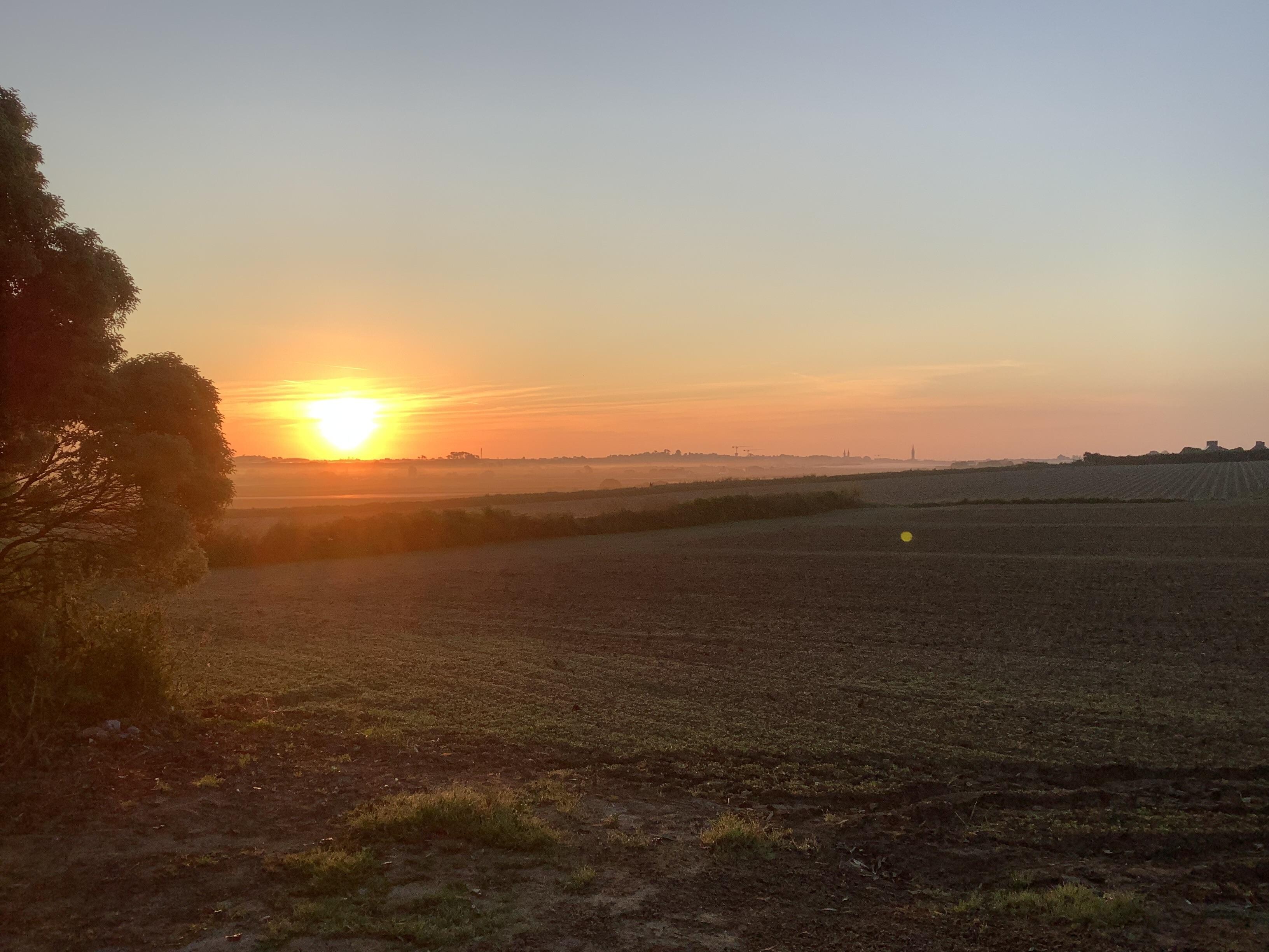Blick aus dem Küchenfenster
