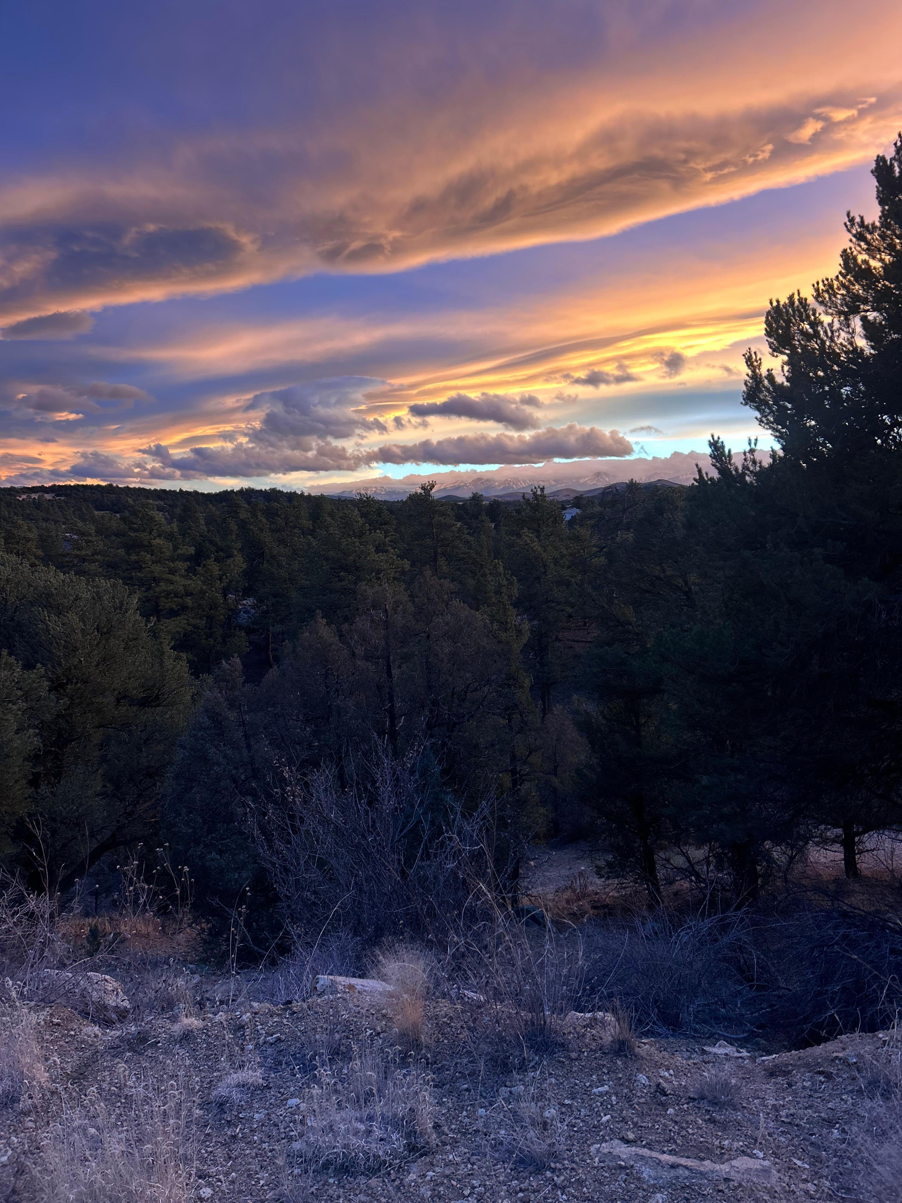 The view around the cabin 