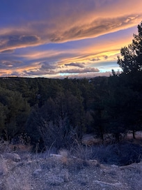 The view around the cabin