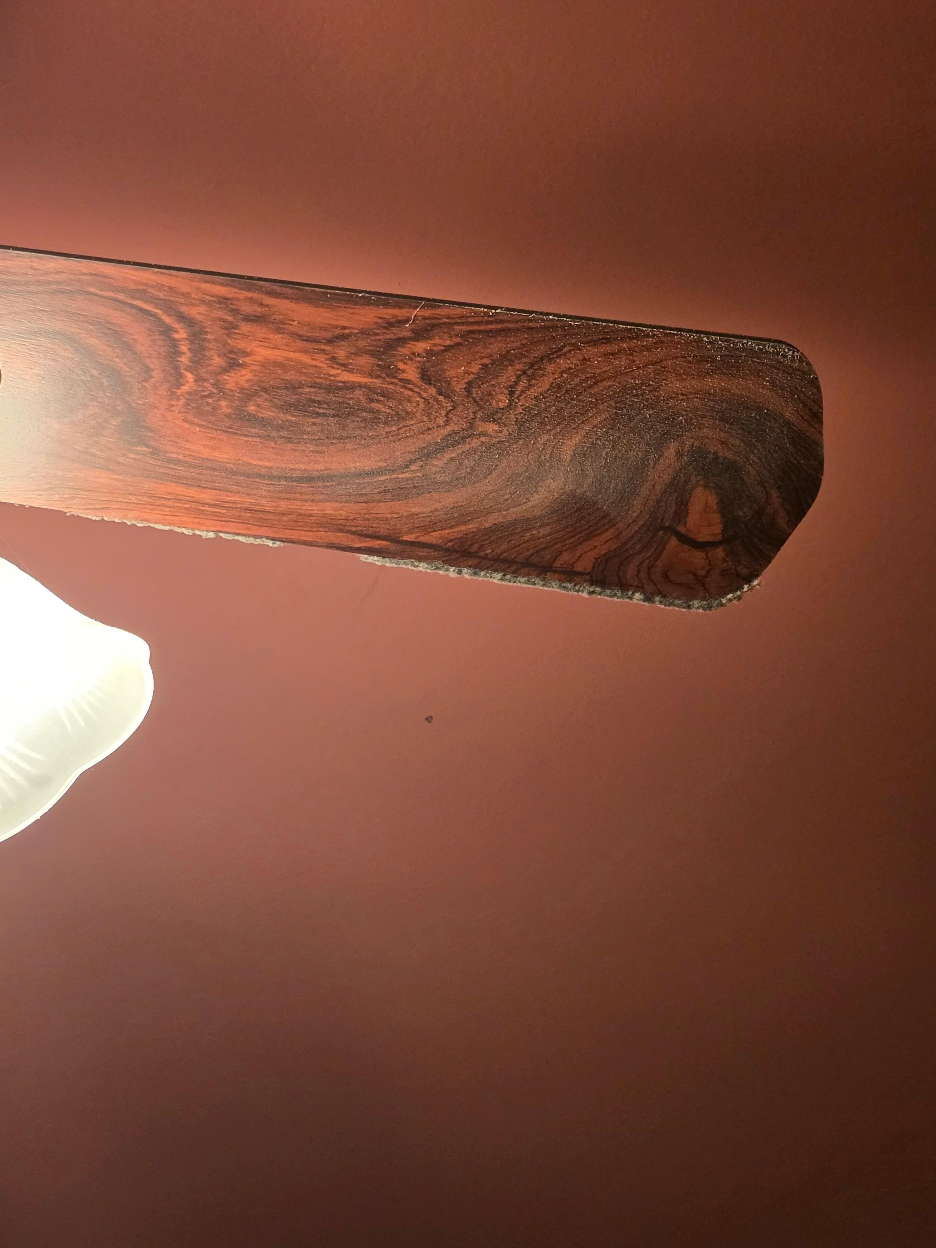 Dust and dirt on fans
