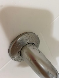 Mold and mildew around shower hand rail