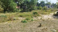 Vue de la soi disant "dune sauvage" un terrain plat bordée par une route