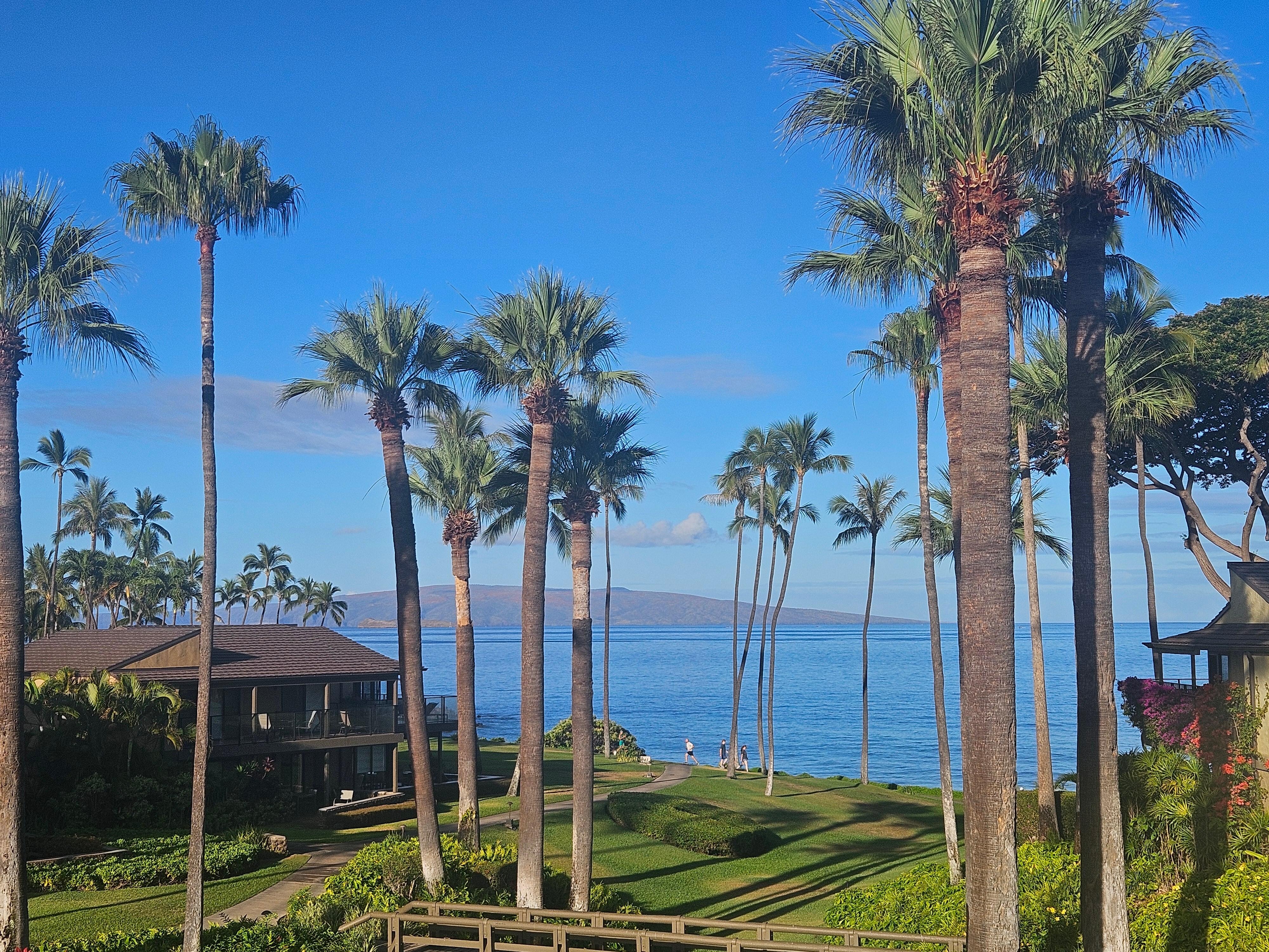 Apartment view