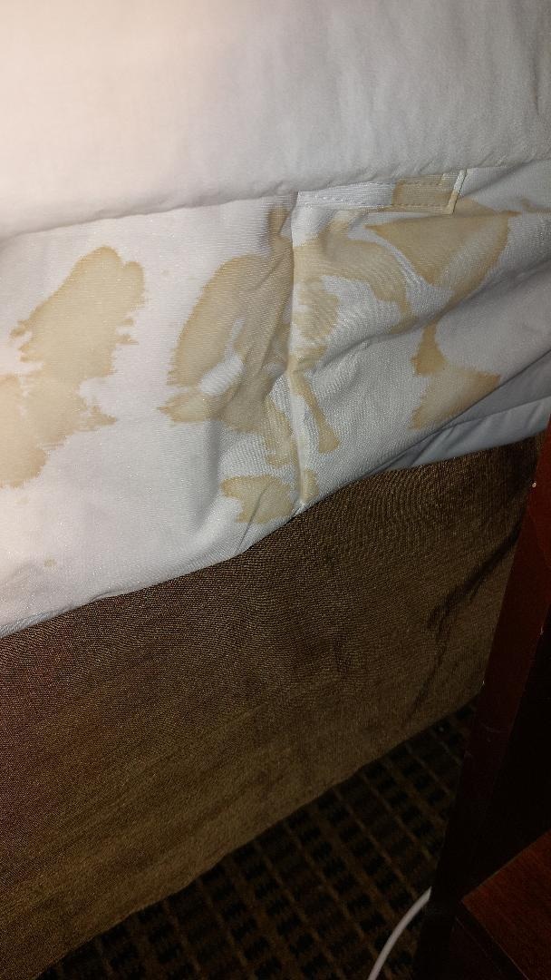 a different view of the stain