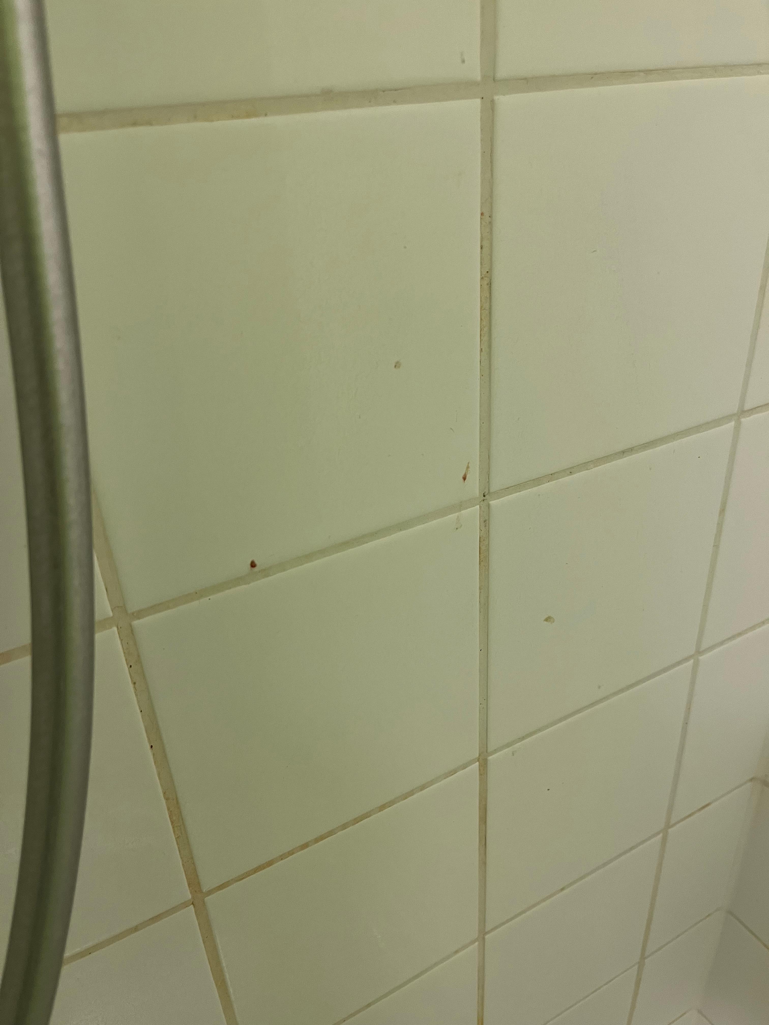 Dirty bath walls 