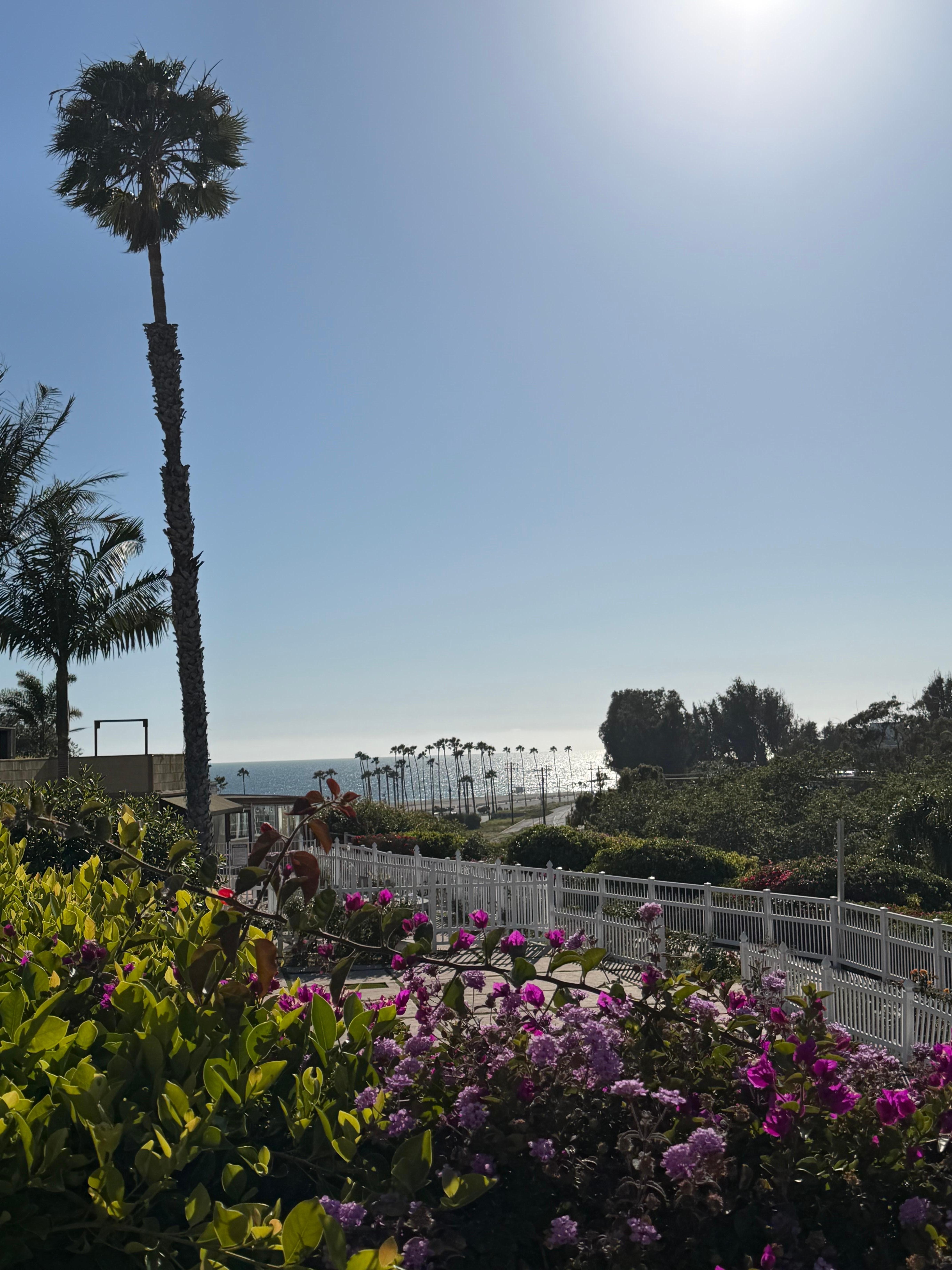 Spectacular view from certain rooms 