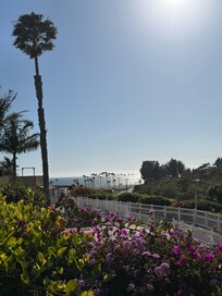 Spectacular view from certain rooms