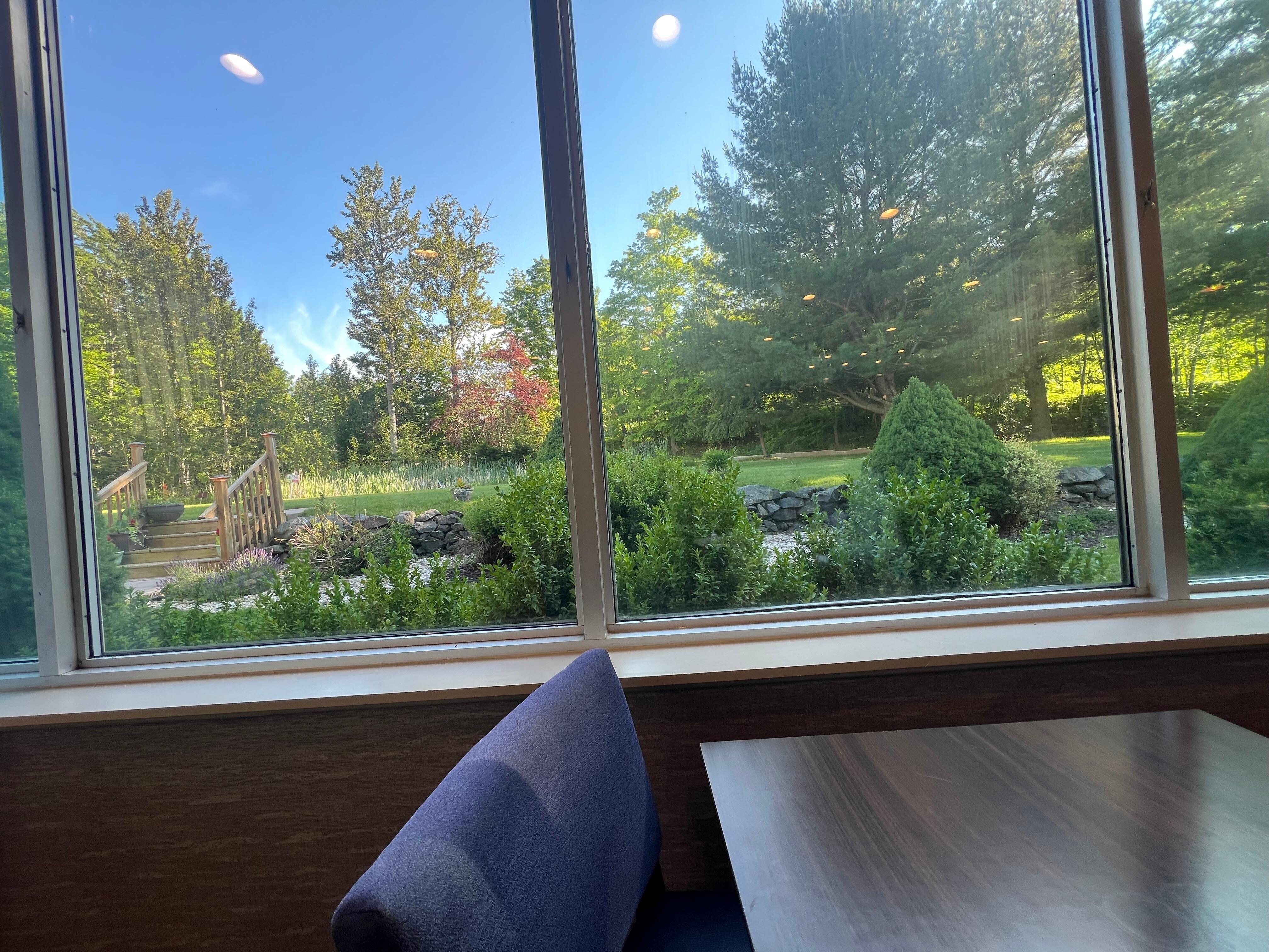 The view from our dining table. Lots of wildlife abound.
