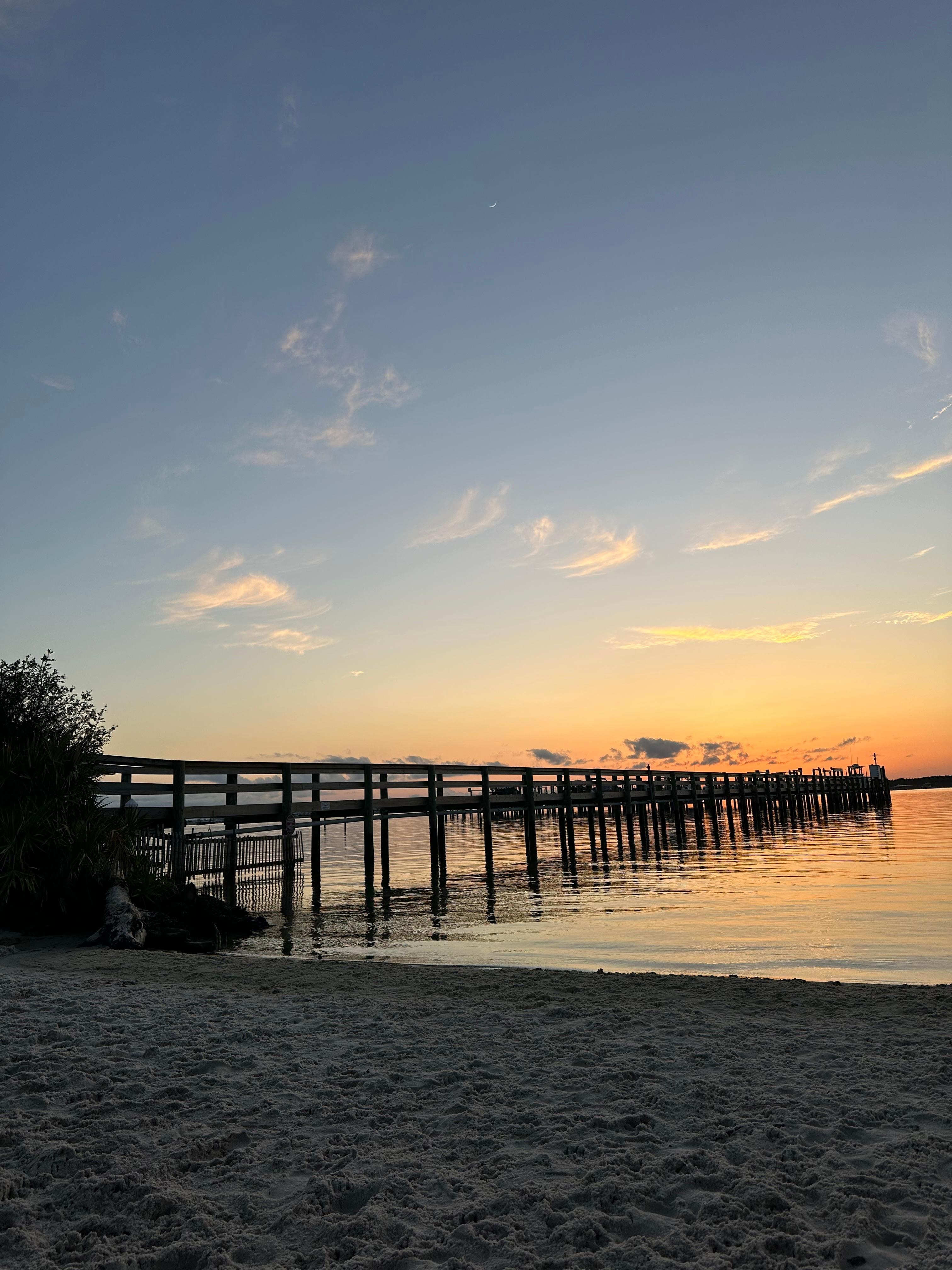 Dog beach sunset