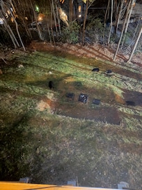 Mama bear and cubs just below lower deck