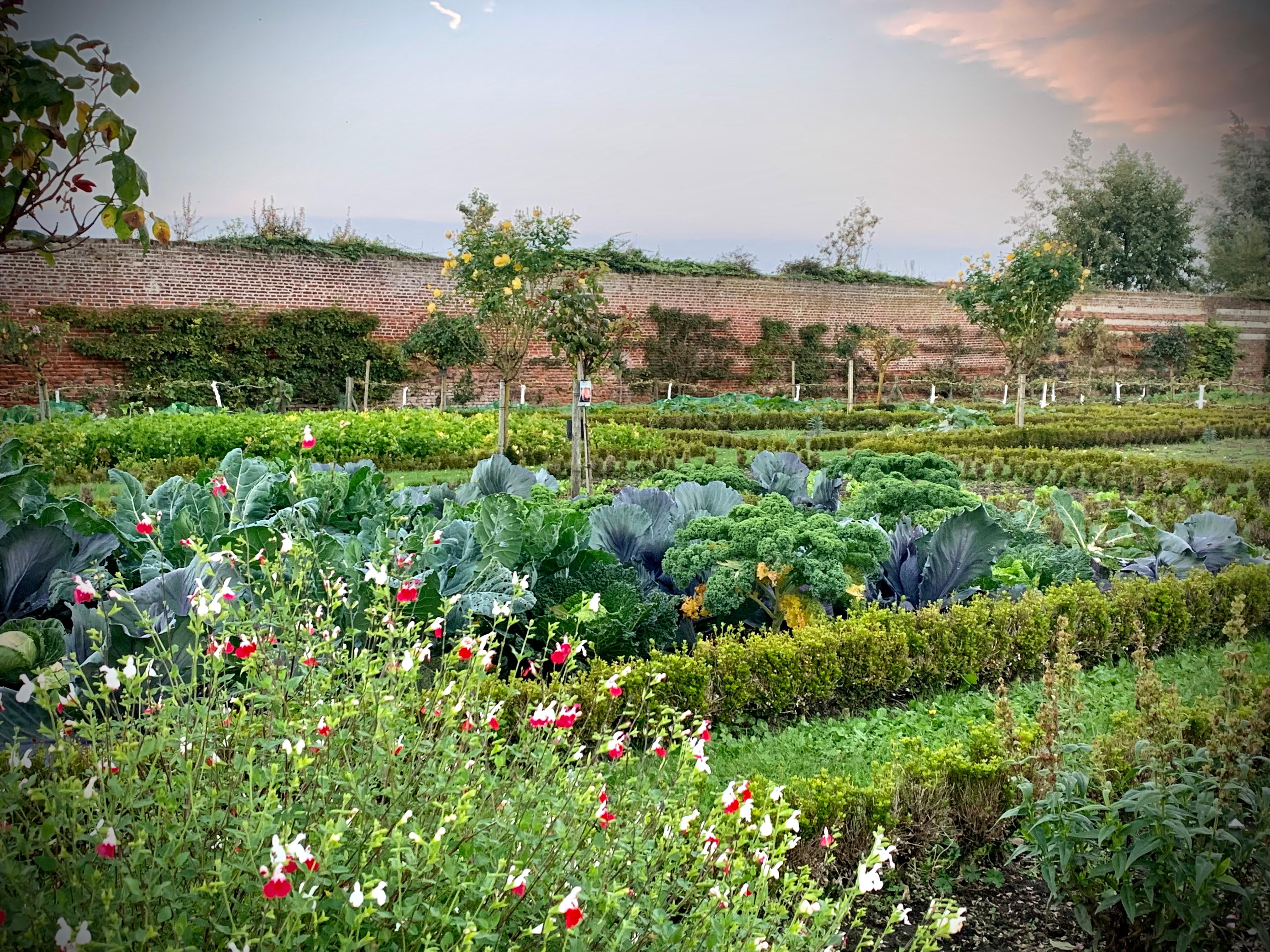 Le potager 🤩