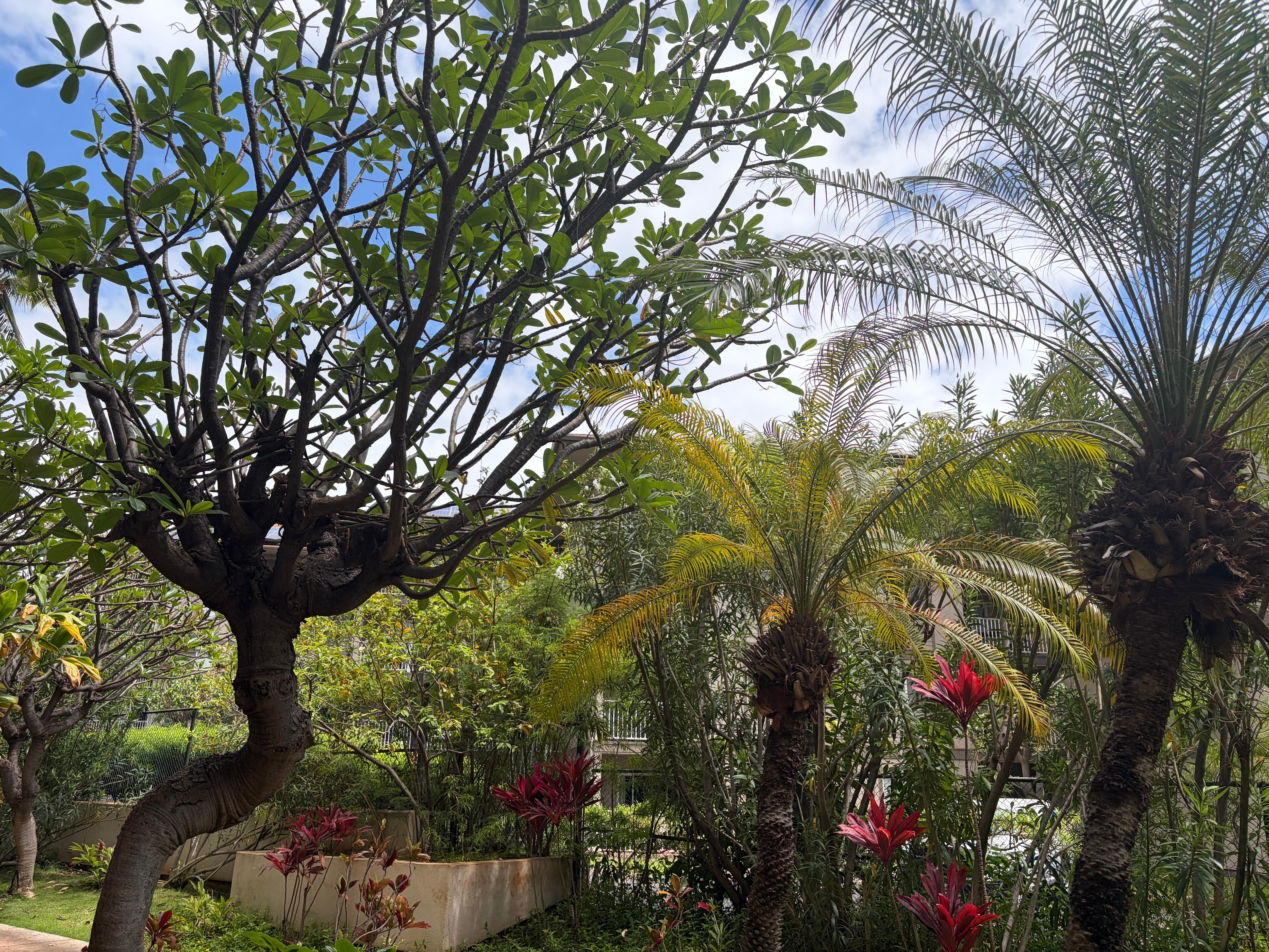 View from patio of room