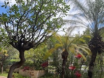View from patio of room