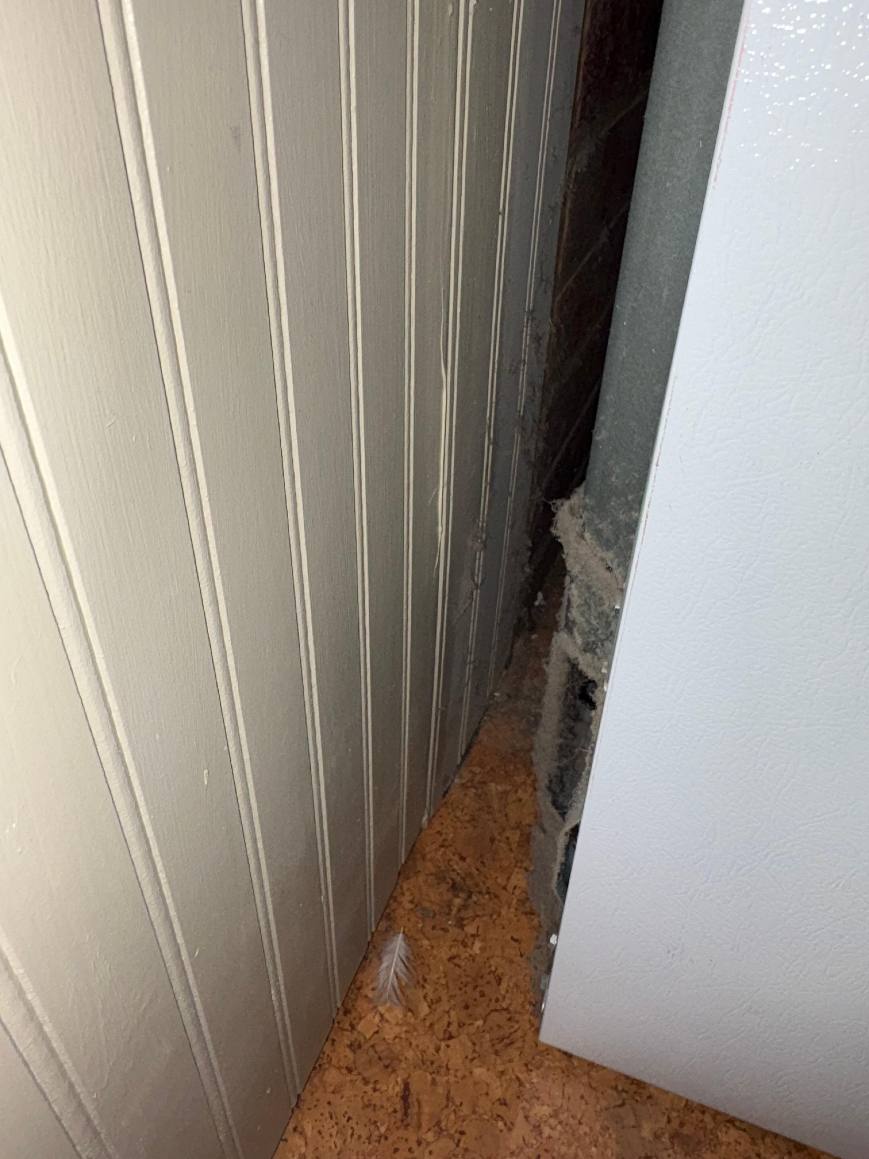Dirt behind fridge