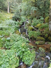 In de buurt de kleine meurthe