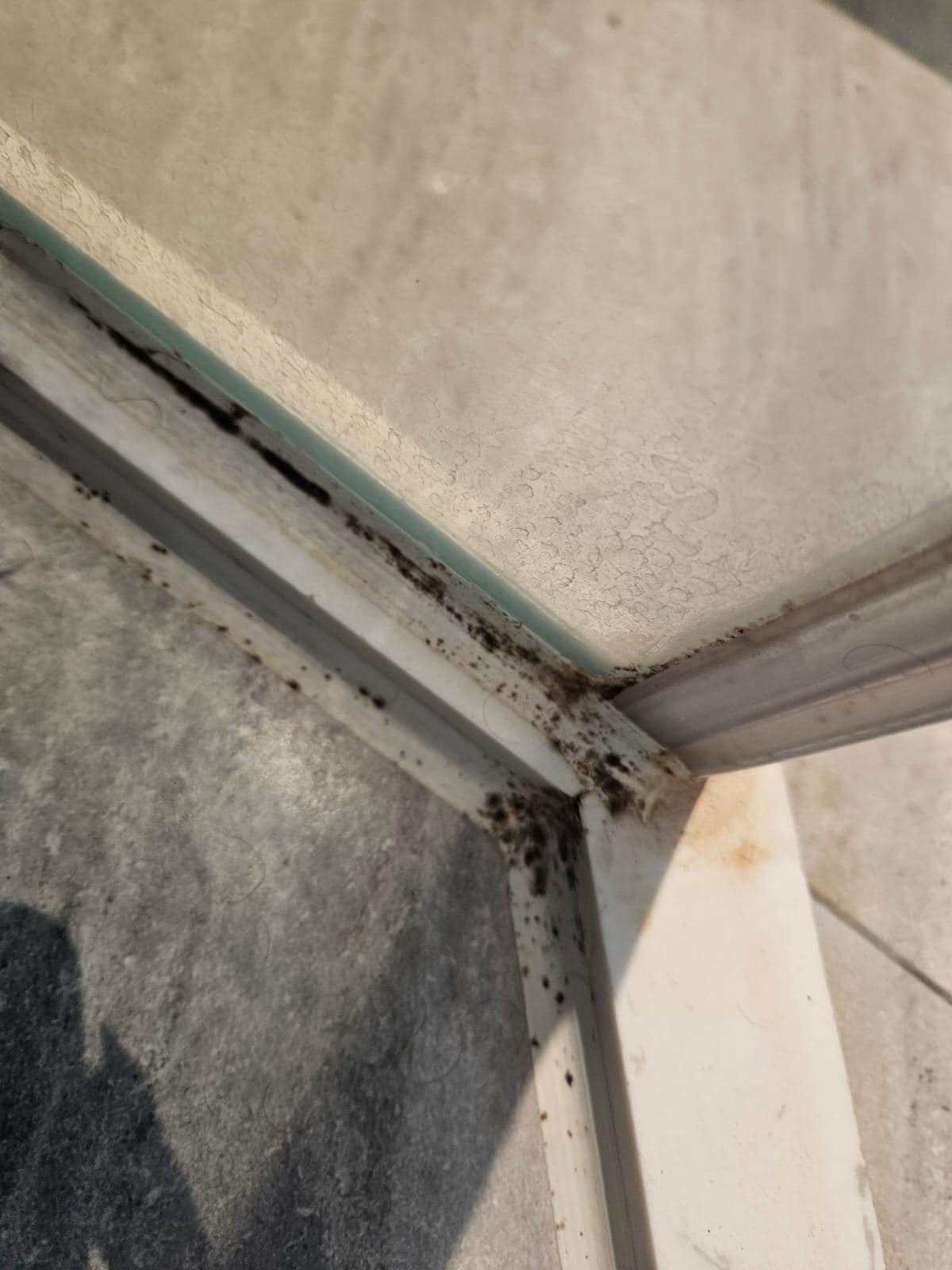 Mold in room 207