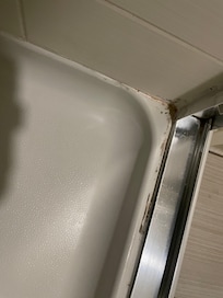 Shower needed cleaning