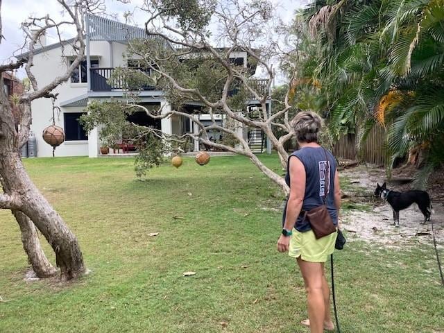 Returning to the property after a big morning walk and run on the beach