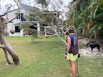Returning to the property after a big morning walk and run on the beach