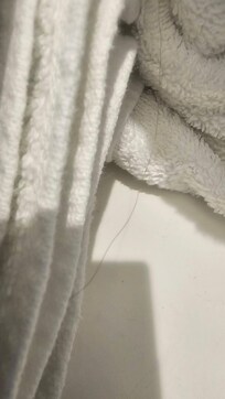Hair on towels in bathroom