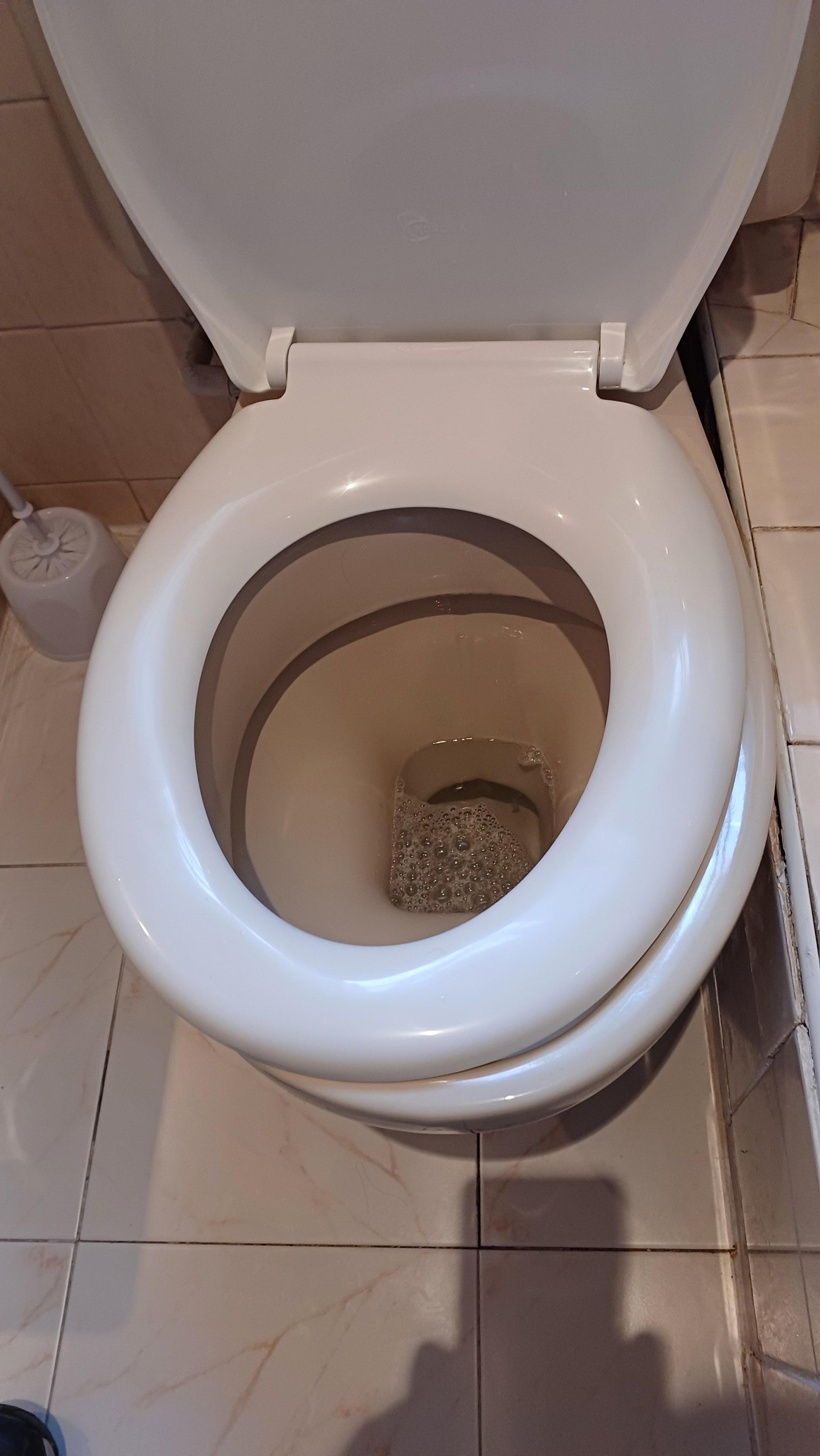 Loose toilet seat