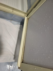 Mold on shower door