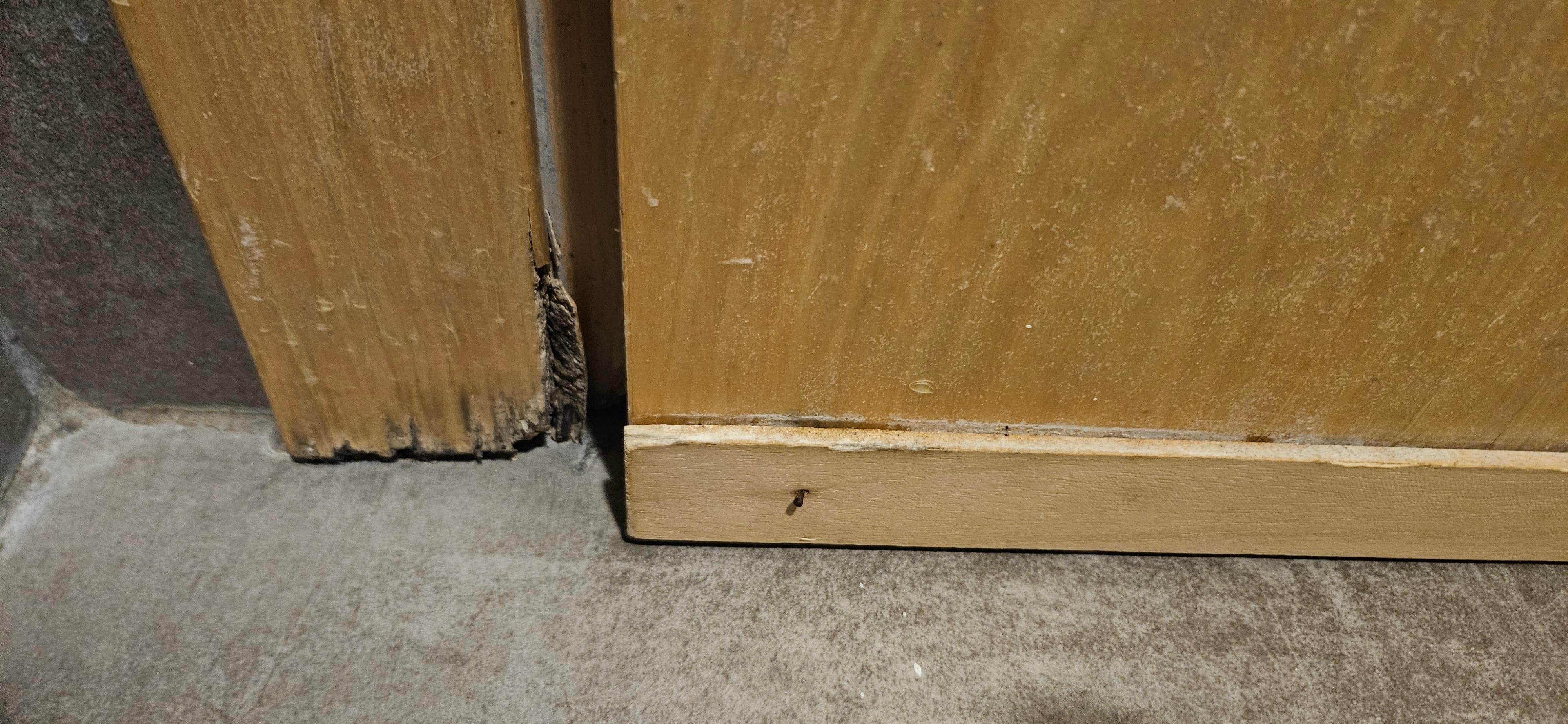 4성급 호텔이라고 하기에는 너무 낮은 수준의 시설 및 관리