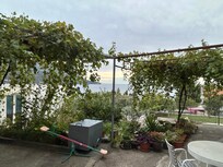 View from the terrace