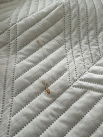 The bedding was dirty, however l luckily has a Tide to Go pen and was able to clean it somewhat.