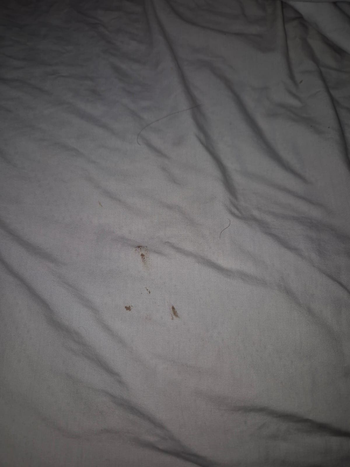 Esta es la sábana, y cuando llegó la chava con sábanas nuevas no las iba a cambiar, se le tuvo que decir que lo hiciera 