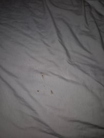 Esta es la sábana, y cuando llegó la chava con sábanas nuevas no las iba a cambiar, se le tuvo que decir que lo hiciera