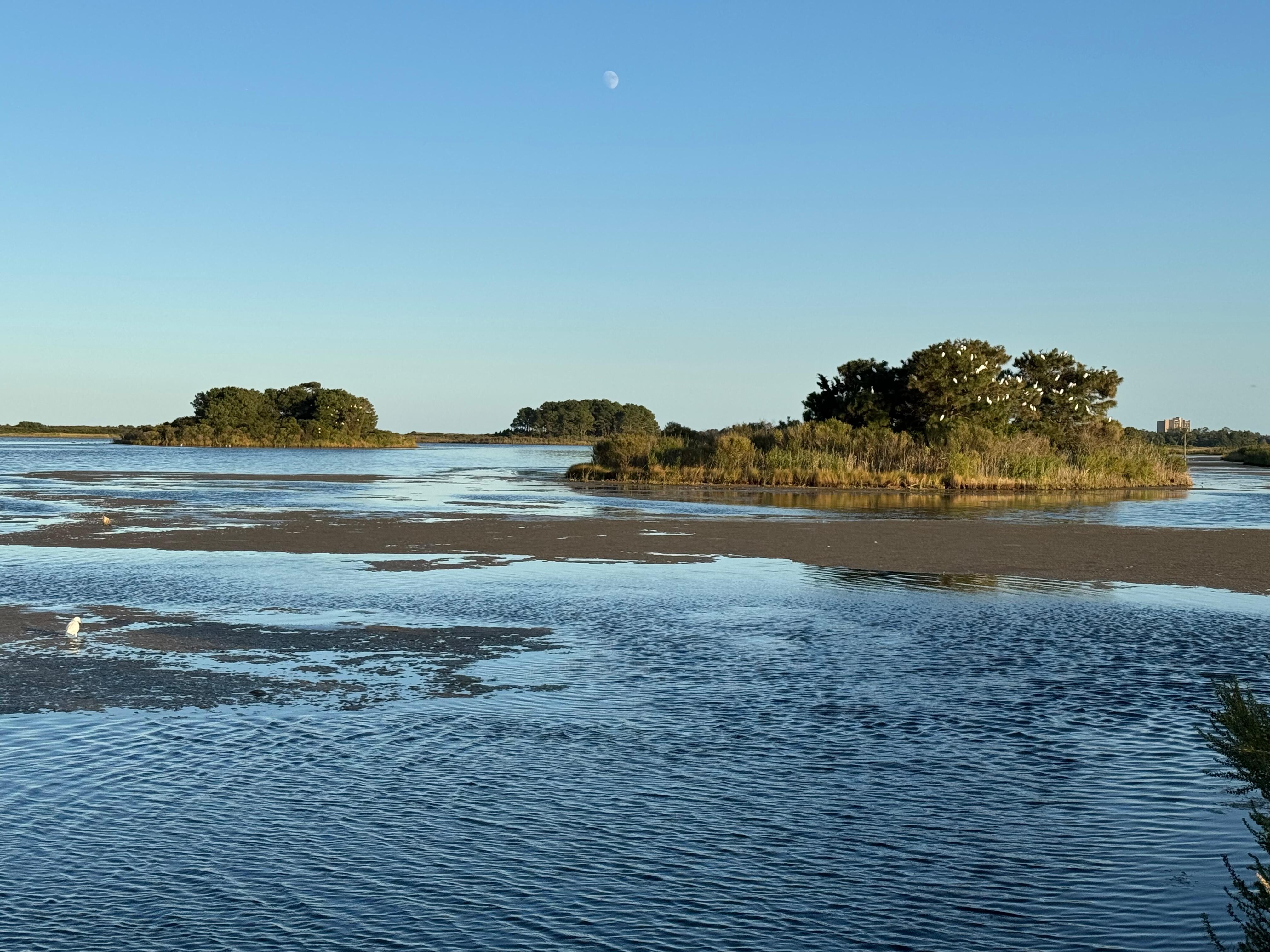 Gordon’s Pond in Cape Henlopen State Park