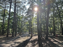 View of the road near the Three-C trail to Sunrise Point