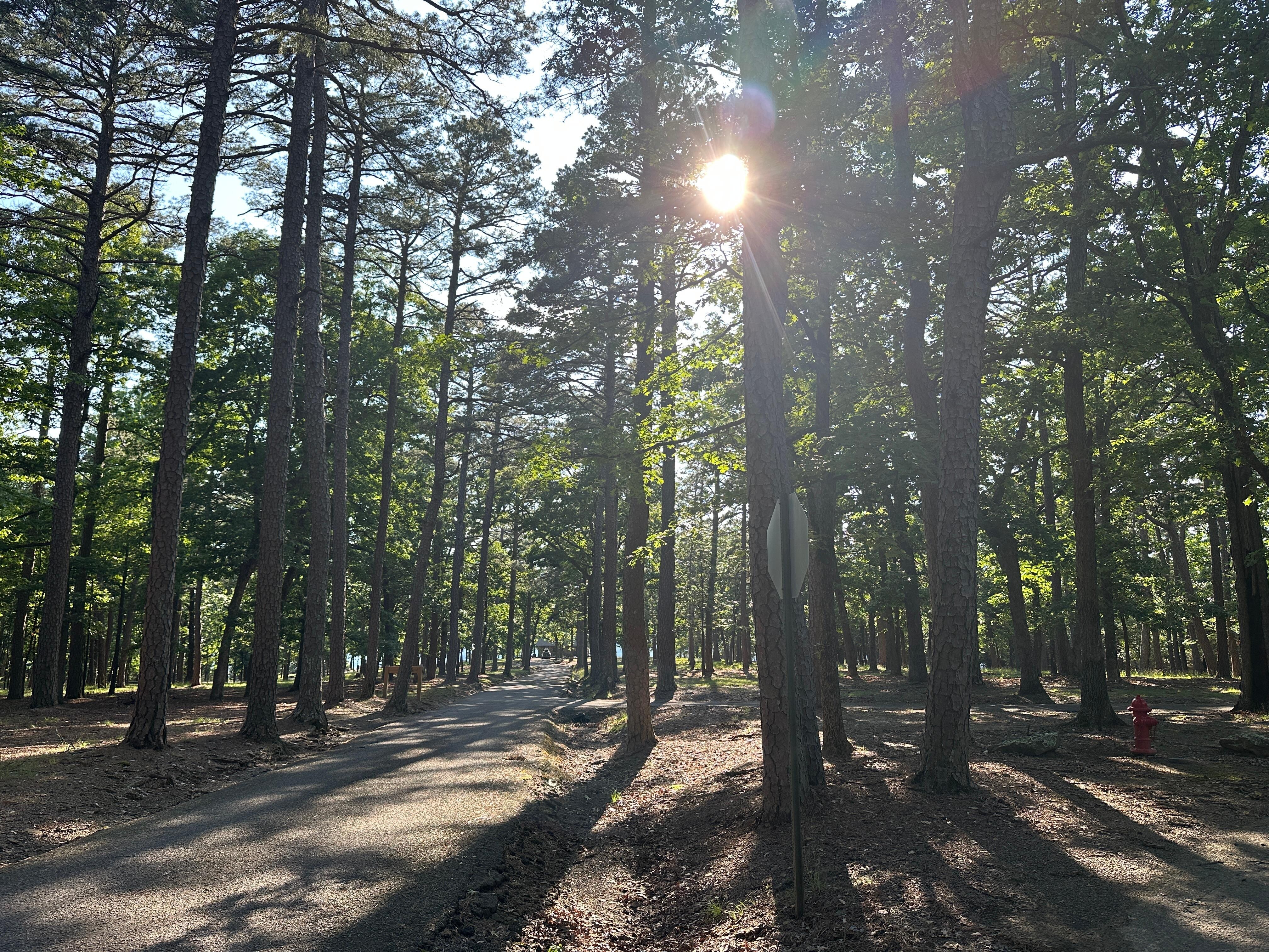 View of the road near the Three-C trail to Sunrise Point