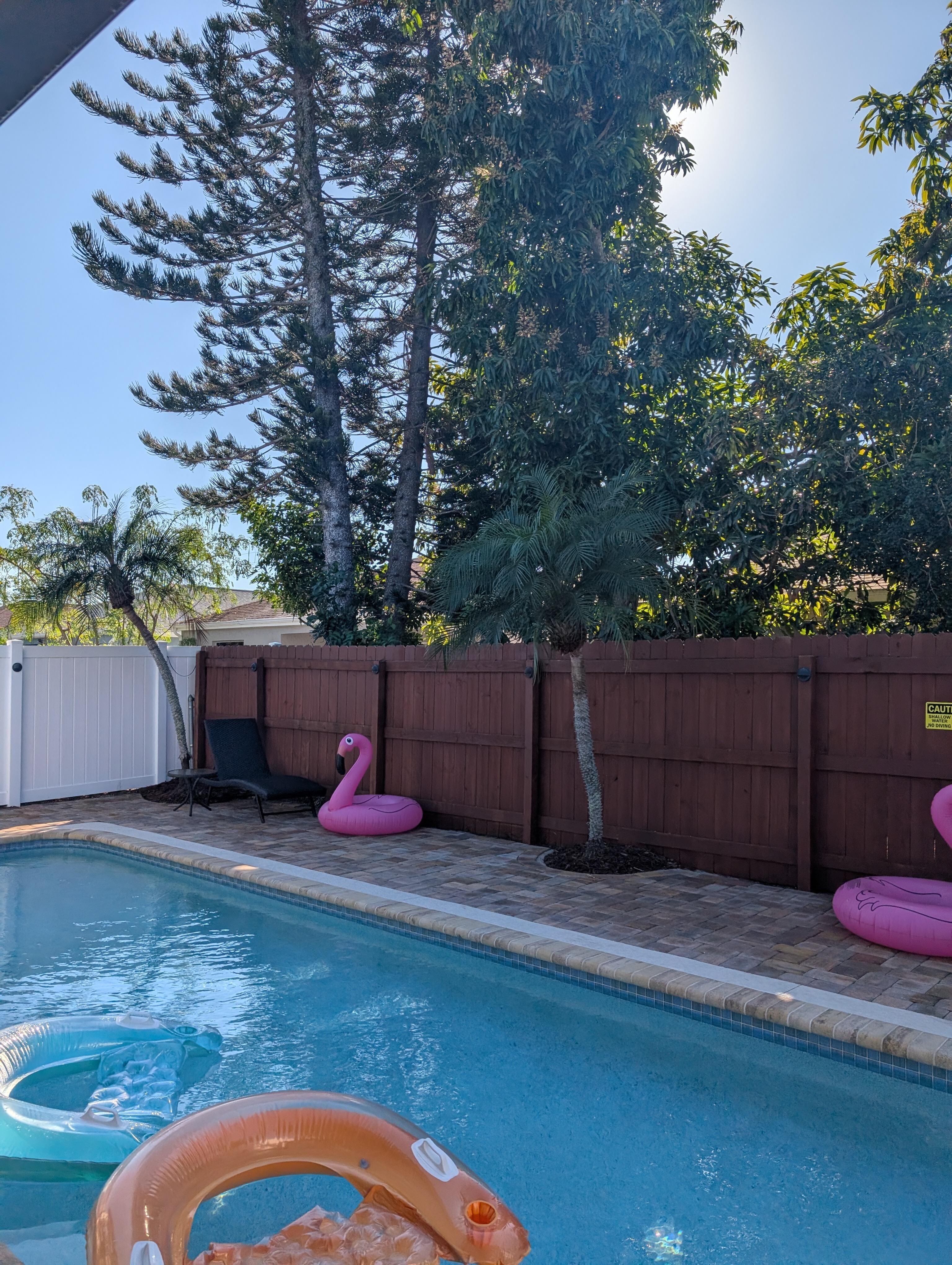 Trees in the neighbors yard behind completely block the sun from the pool this time of year.