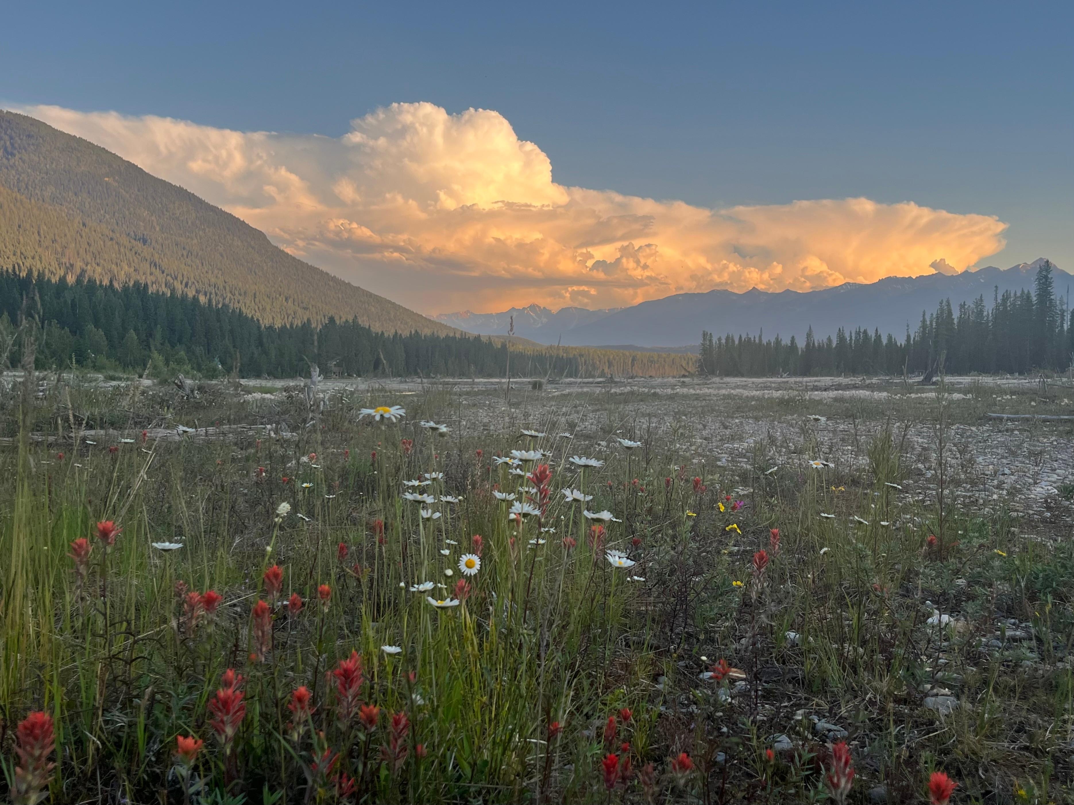Evening stroll to the river