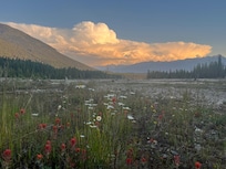 Evening stroll to the river