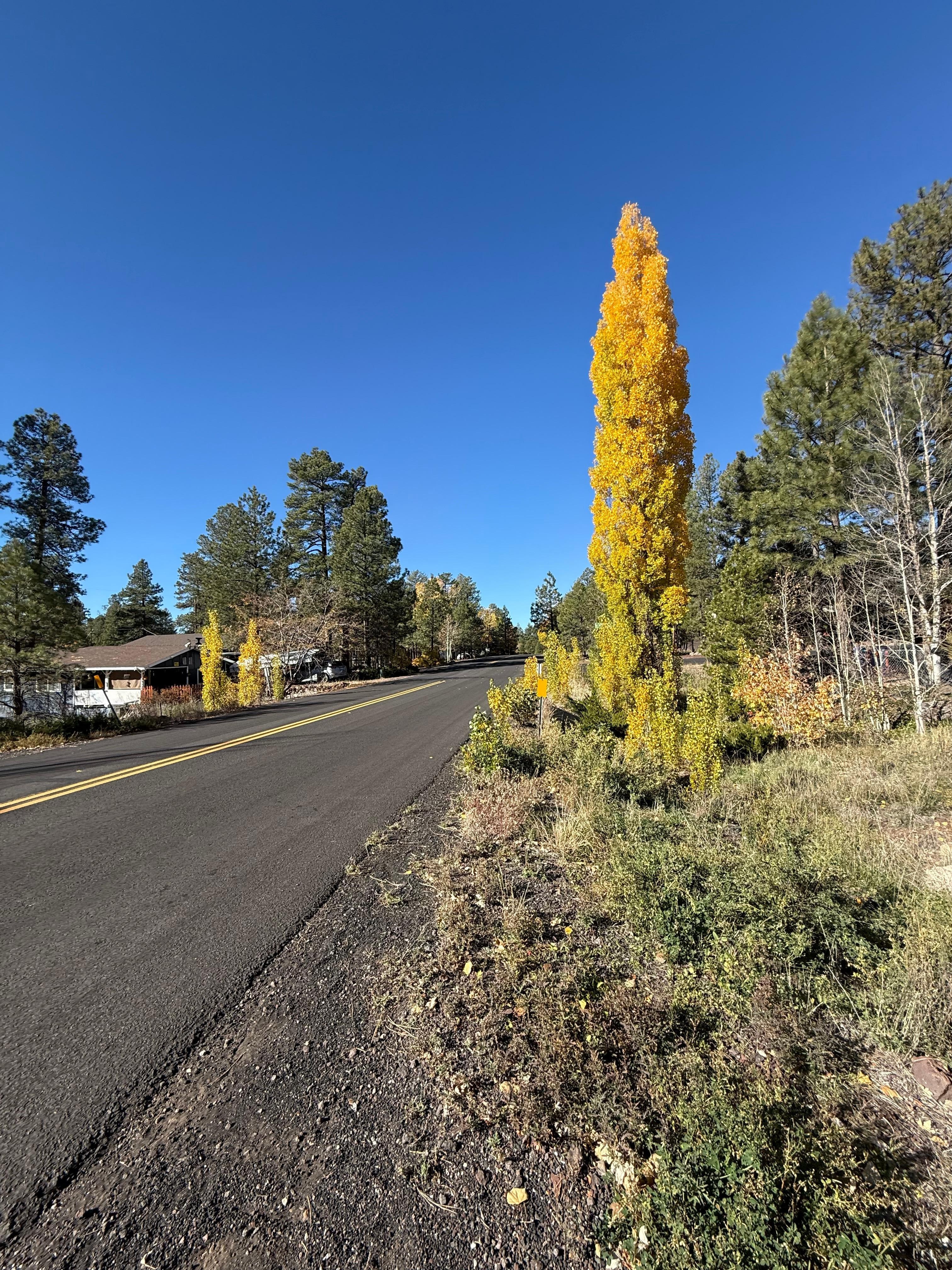 The road in front of the house very quiet road.