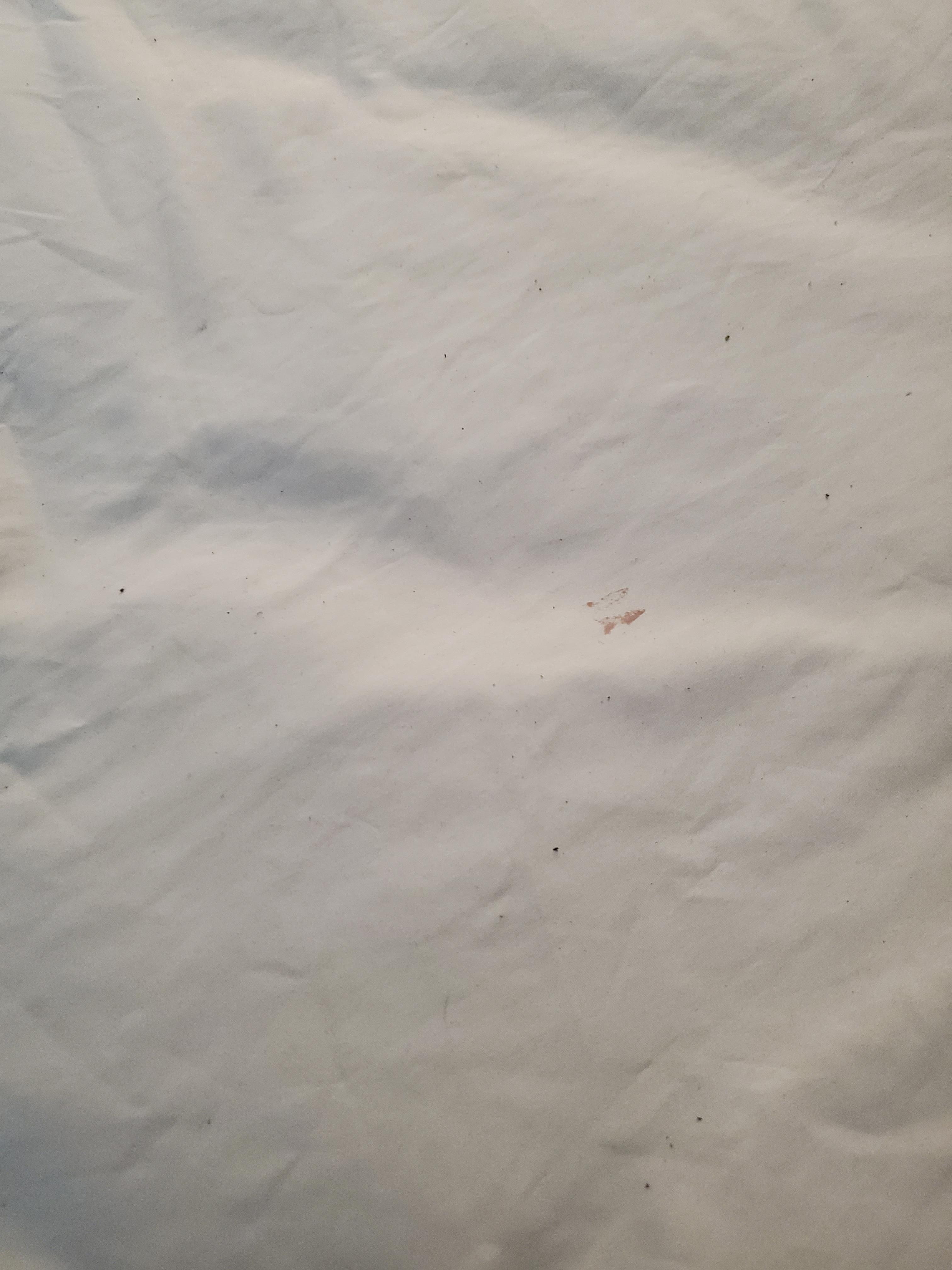 Hair and dirt in bed