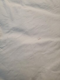 Hair and dirt in bed