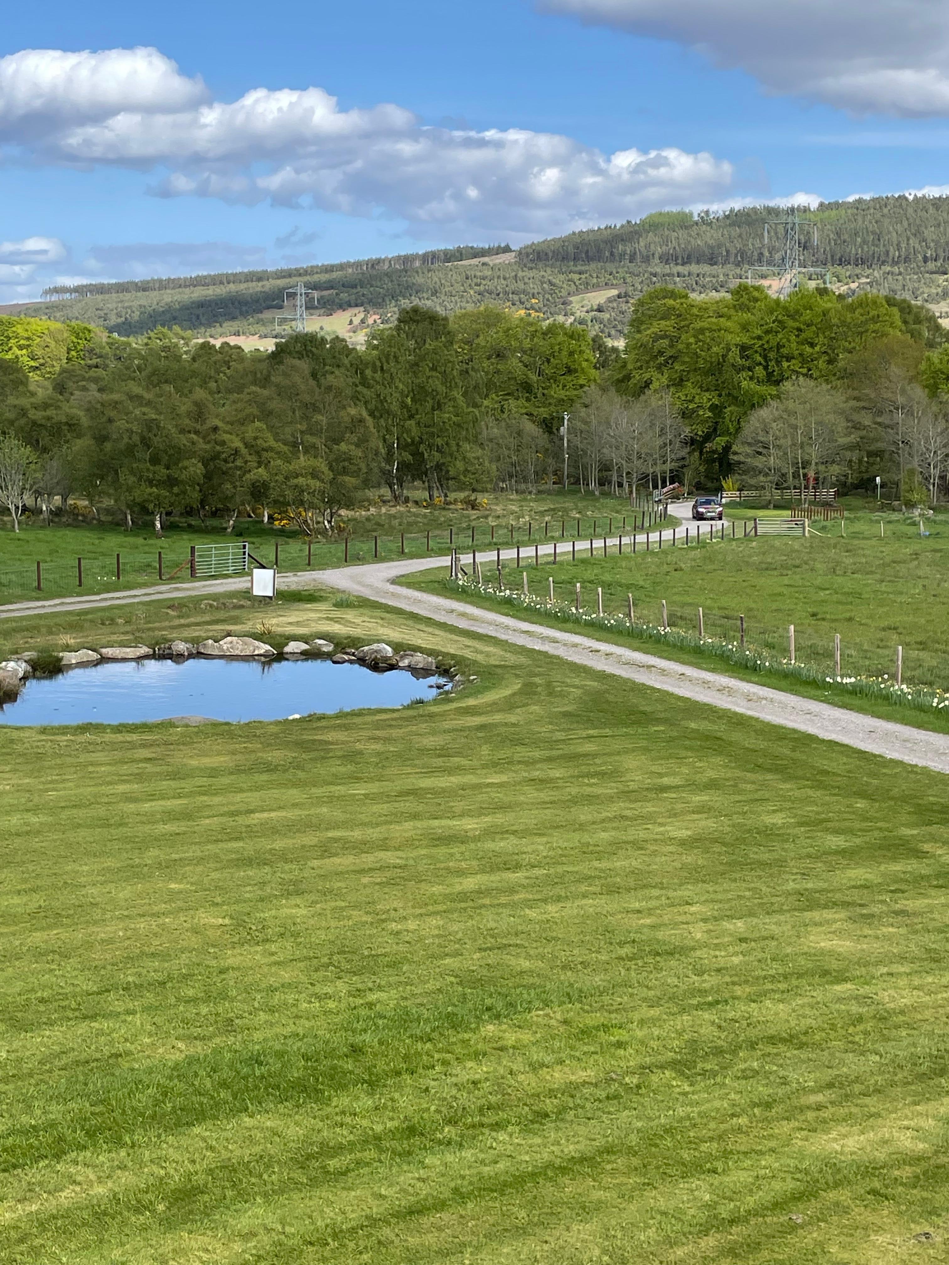 View from our bedroom window 