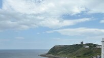 The view