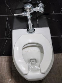 Mold ring in the lobby bathroom