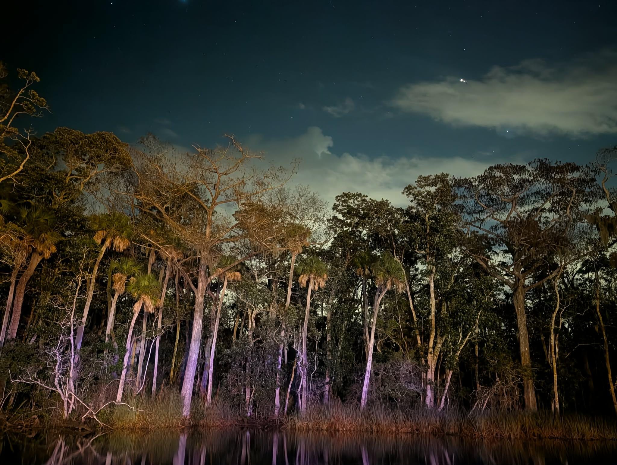Evening view of river
