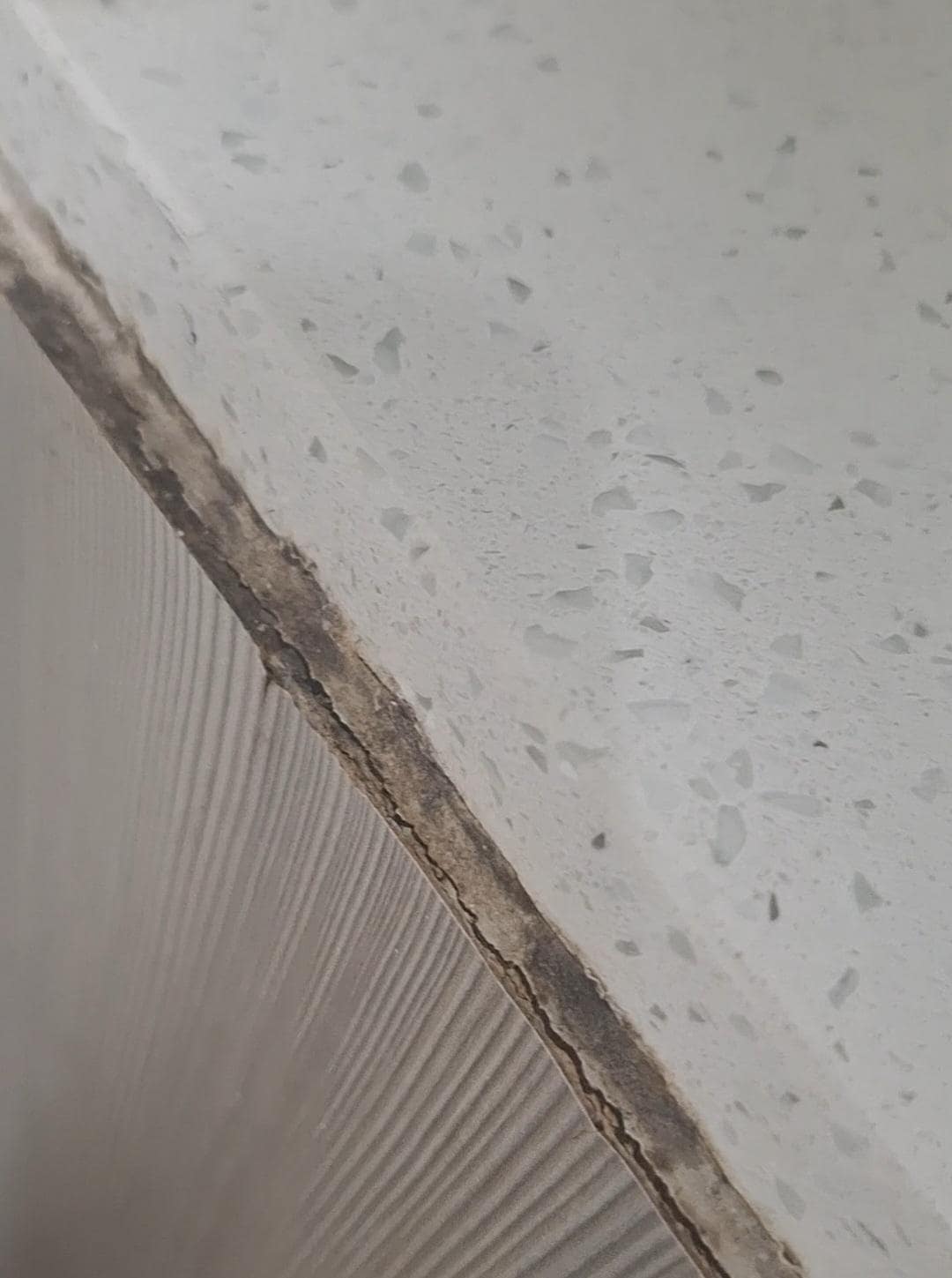 Mold on vanity 