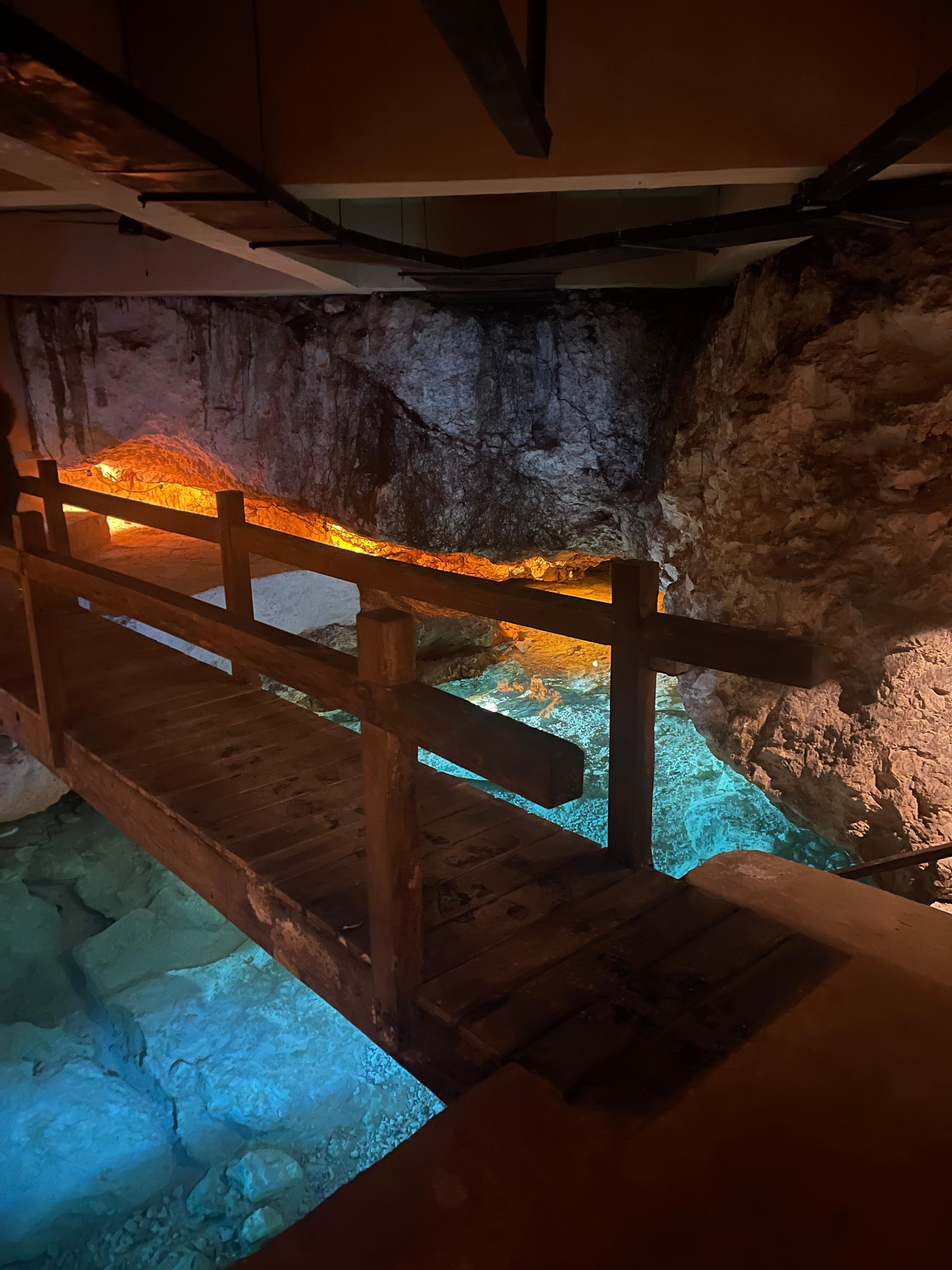 Hidden cenote on the property 