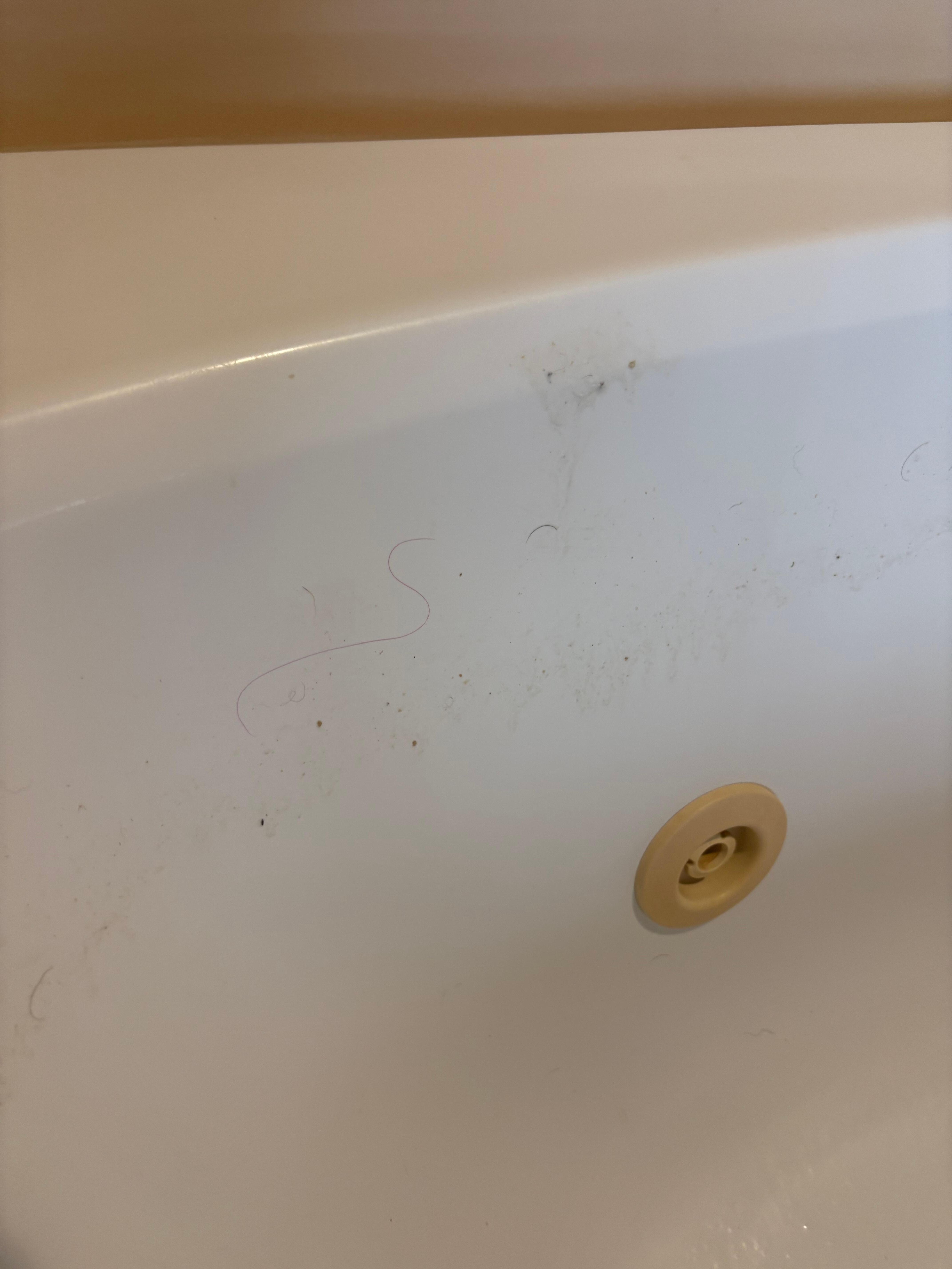 Filth in jetted tub