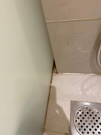 Mold and dirts everywhere