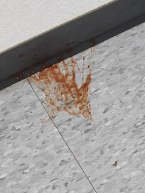 This was not cleaned and remained the 5 days we were there.